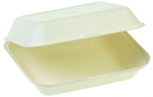 naturesse Zuckerrohr Food Box mit Klappdeckel extra gross 23,5x19,5cm, 7,5cm tief