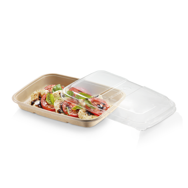naturesse Zuckerrohr Menü Tray nature rechteckig 23,0x16,5x3,0cm, 600ml biolaminiert