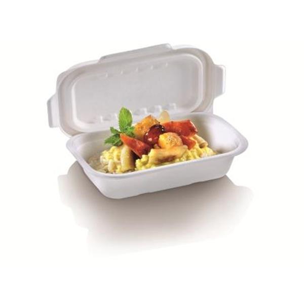 naturesse Zuckerrohr Schale rechteckig, Bio laminiert , 20,5x13x4,5cm, 500ml